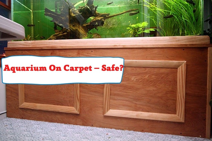 Aquarium On Carpet – Safe?