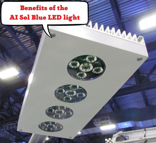Benefits of the AI Sol Blue LED light
