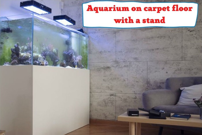 Aquarium on carpet floor with a stand