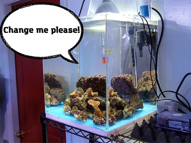 changing water in a quarantine aquarium