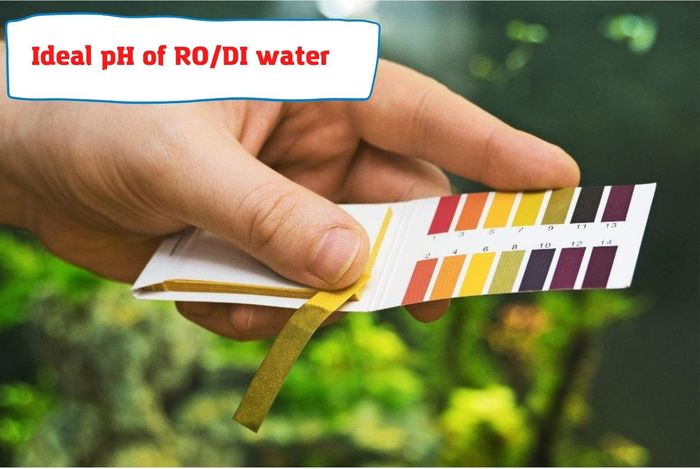ideal pH of RO/DI water