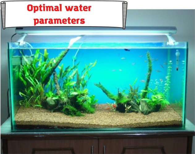 Optimal water parameters