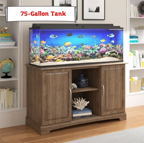 75-Gallon Tank for Your Home