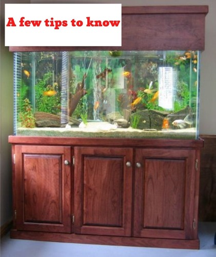Precautions to take when keeping your aquarium on the stand on the carpet