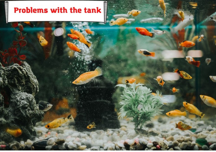 Problems with the tank