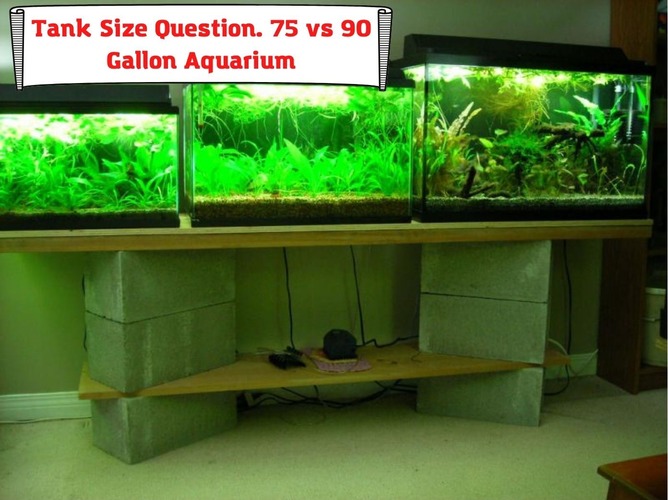 Tank Size Question. 75 vs 90 Gallon Aquarium for Your Home