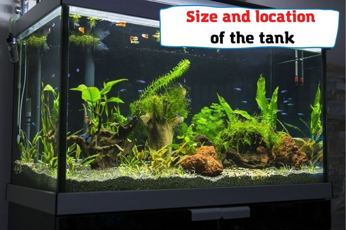 Tank size and placement of the tank