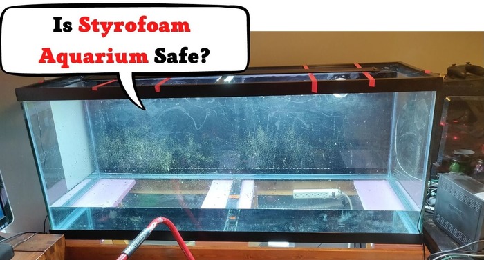 Is Styrofoam Aquarium Safe? And Some Substitutes To Use In Your Tank