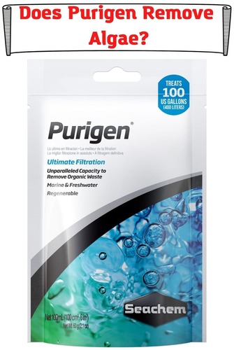 Does Purigen Remove Algae?